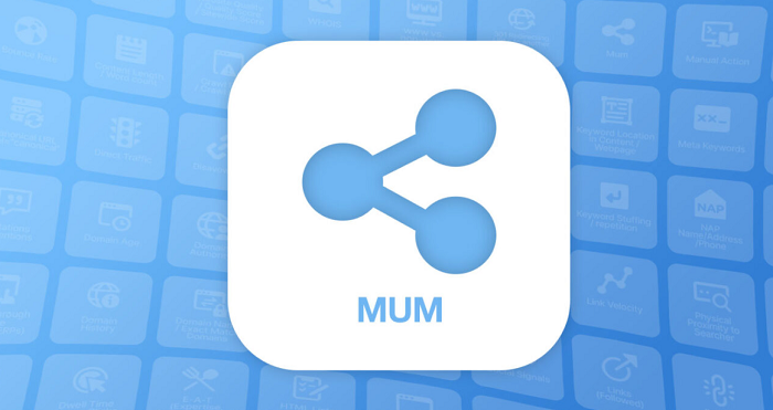 google's mum