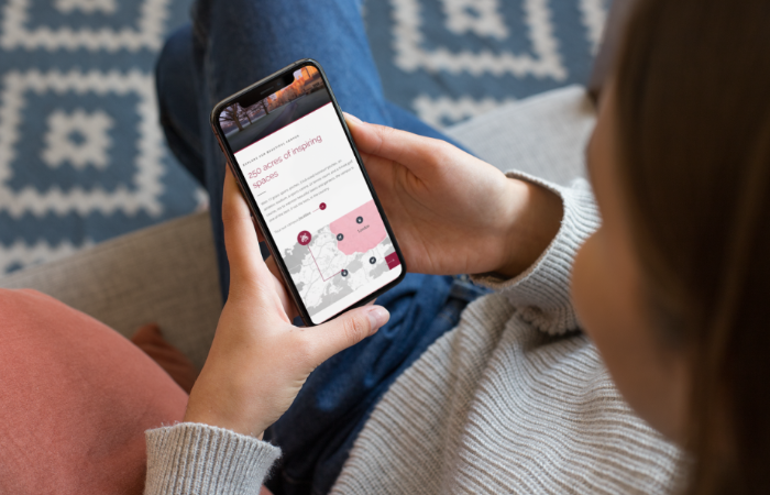 mobile-friendly website